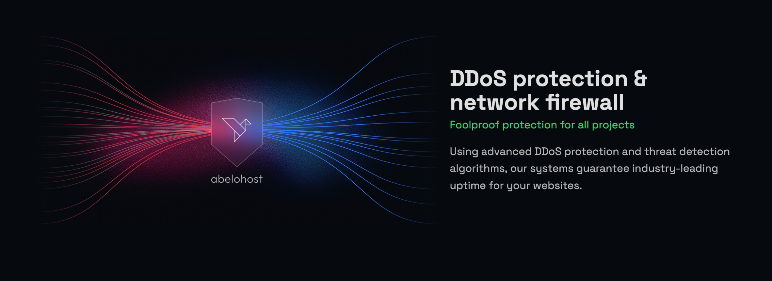 Offshore Hosting & Data Protection | Abelohost